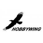 Hobby Wing