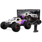 UDI RC UD1611A Monster Truck Brushed 1/16 Purple