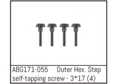 ABG171-055 Outer Hex. Step Self-Tapping Screw M3*17 (4)