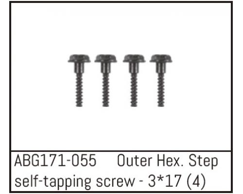 ABG171-055 Outer Hex. Step Self-Tapping Screw M3*17 (4)