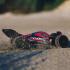 Arrma 1/8 Typhon 6S BLX 1/8 4WD Bgy RTR Rood/Grijs (ARA106046)